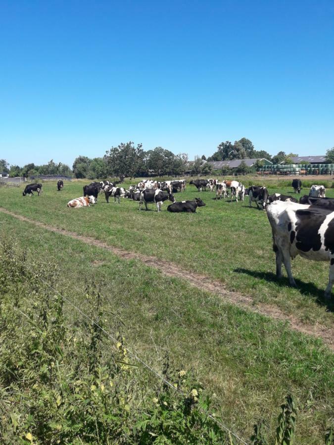 Lodderlogies Διαμέρισμα Oudewater Εξωτερικό φωτογραφία